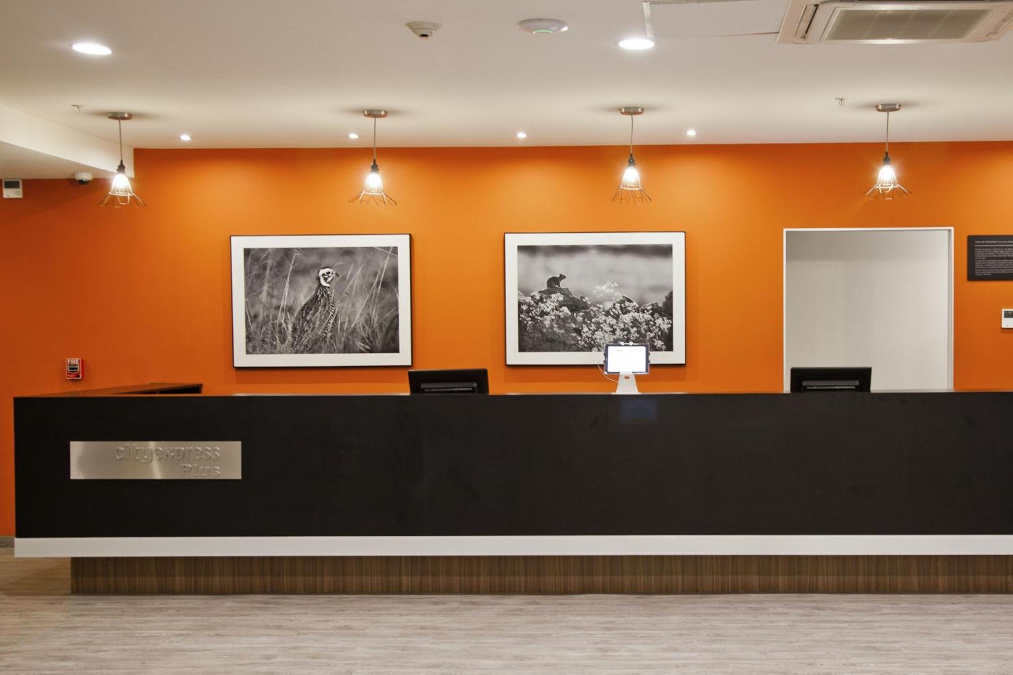 City Express Plus By Marriott Monterrey Nuevo Sur Luaran gambar